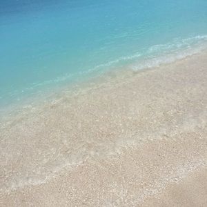 Meet your Posher, Antonia